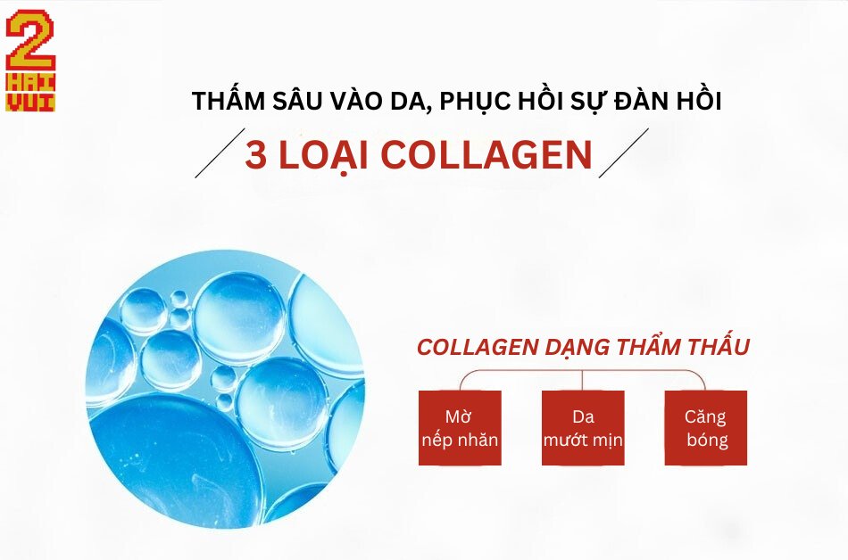 OFACIALLY 微脂胜肽膠原蛋白精華液 30ML - Haivui
