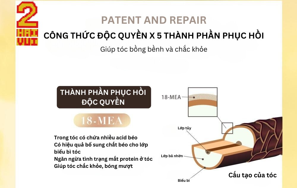 【MISSDAISY 法國訂製香水技術】香氛洗髮精-保加利亞玫瑰與烏木 500mL 香味持續3天 - Haivui